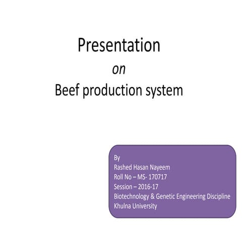 Beef production system 
