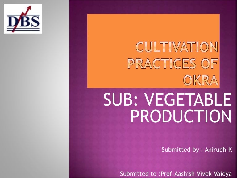 cultivation practices of okra