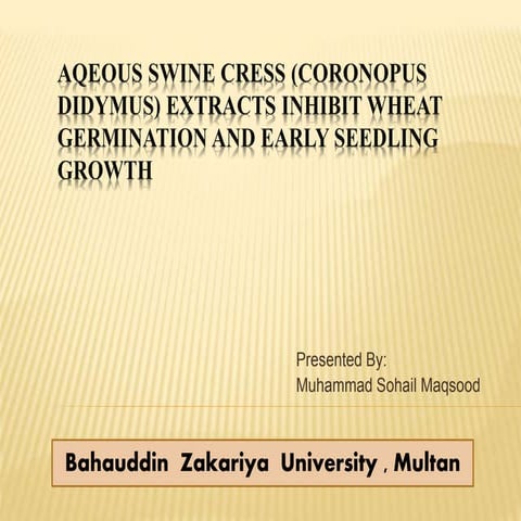 New microsoft office power point presentation