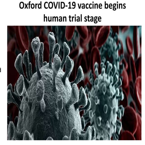 oxford university covid -19 vaccine
