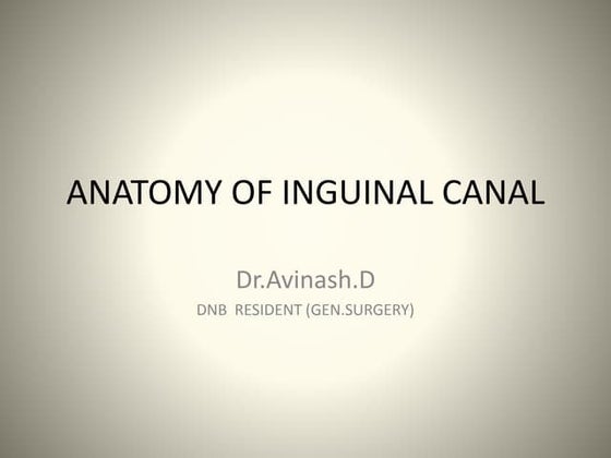 INGUINAL CANAL.pptx// ABDOMEN AND PELVIS | PPT