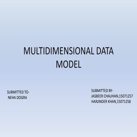 MULTIMEDIA MODELING