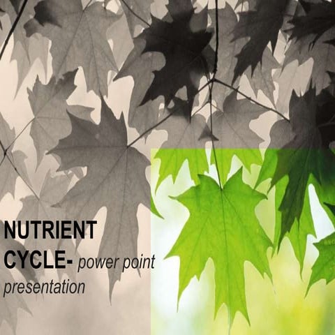 nutrient cycles powerpoint presentation