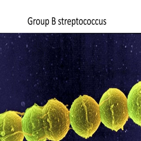oxford university Group B streptococcus