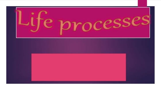 Life process | PPTX