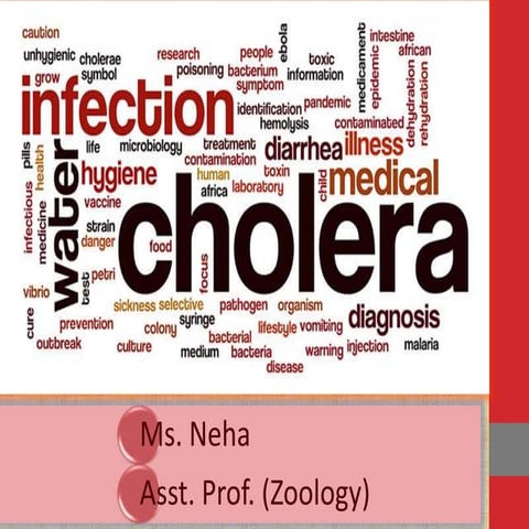 cholera