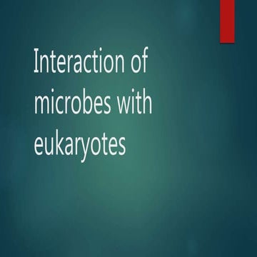 Interaction of microbes with eukaryotes