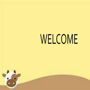 Male reproductive system of cattle