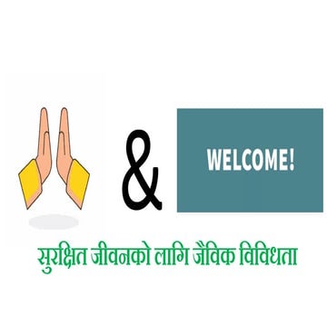 Sustainable Intensification of biodiversity in agroecosystem through conservation agriculture 