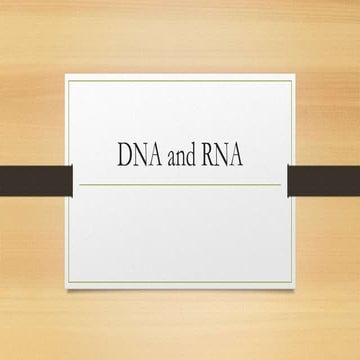 02 The Role of DNA in Protein Synthesis | PPT