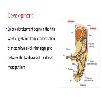 New Microsoft PowerPoint Presentation.pptx