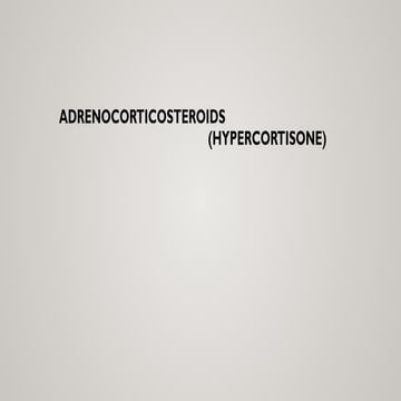 New Microsoft PowerPoint Presentation.pptx