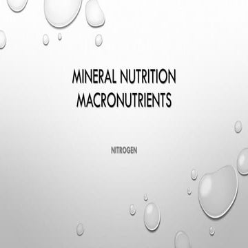 Nitrogen nutrition for plants