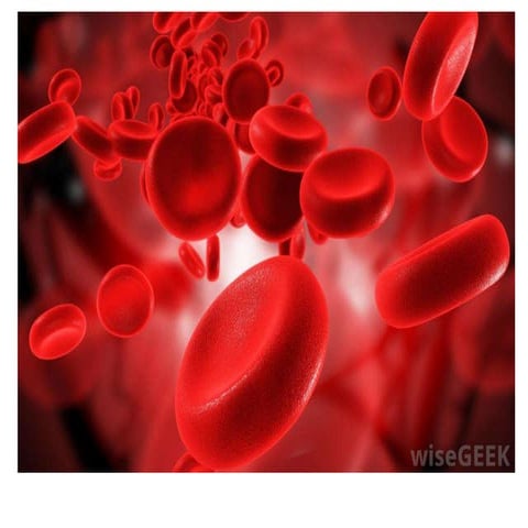 blood material for std 9