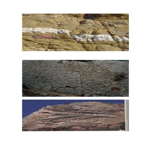 New microsoft word document