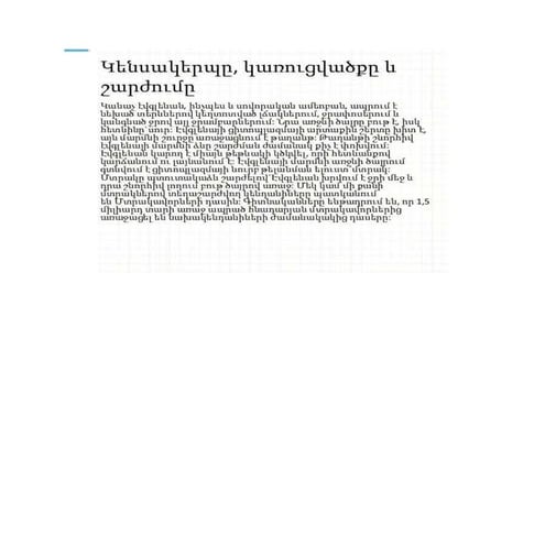 New microsoft word document