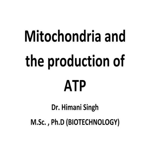 Mitochondria and the production of ATP, THE STRUCTURE OF MITOCHONDRIA