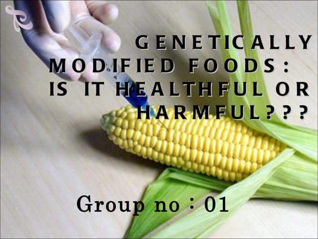 genetically modified food | PPTX