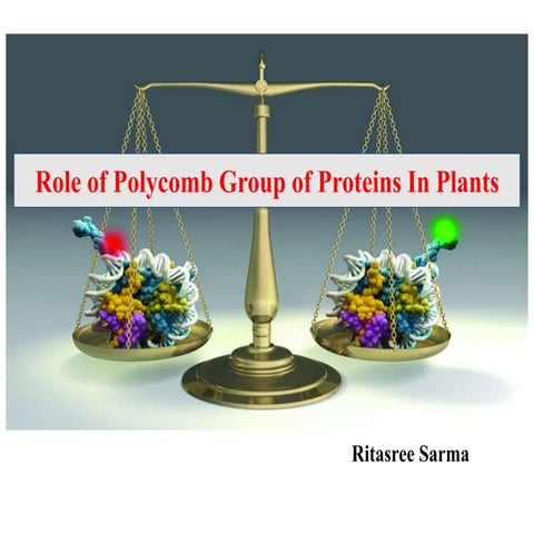 POLYCOMB GROUP OF PROTEINS