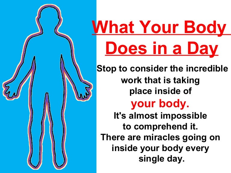 What your body does in a day