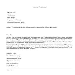 New product development  assignment