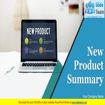 New Product Summary PowerPoint Presentation Slides