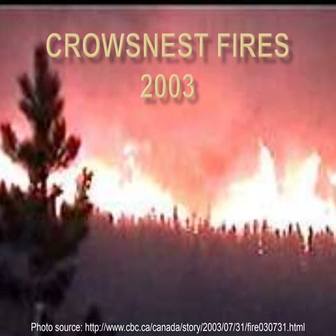 Crowsnest Fires 2003
