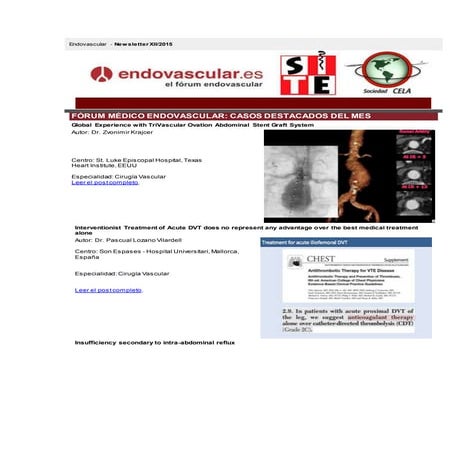 Newsletter XII Endovascular.es