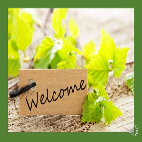 EMAS - Engineered Material Arrestor System (seminar ppt) 