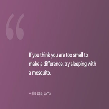 New Services for Partners