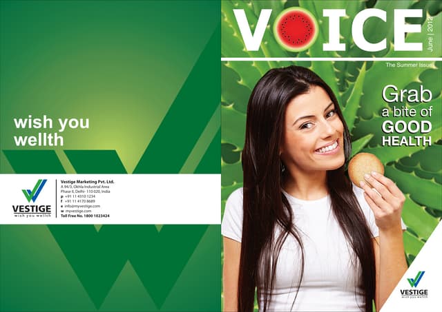 Vestige Marketing Pvt Ltd Business Plan