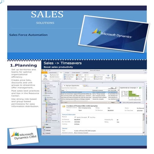Microsoft Dynamics CRM- Sales Solutions