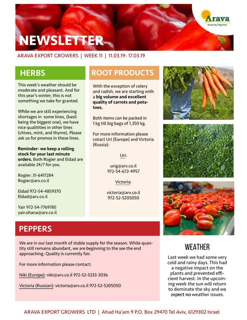 Newsletter11 2019 | PDF