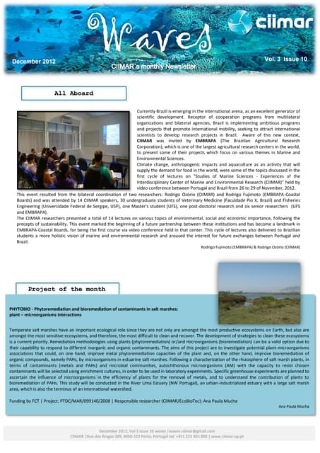 Newsletter december 2012
