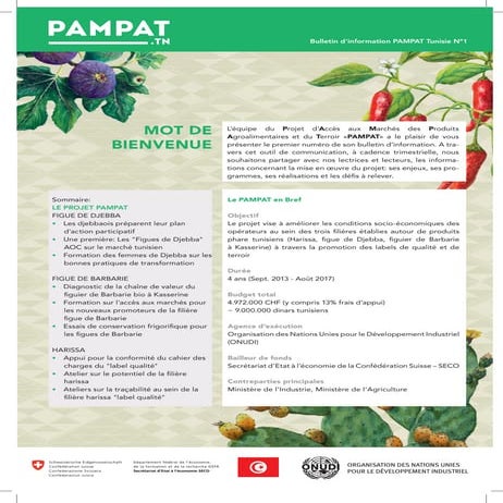 Newsletter pampat