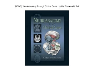 'neuroanatomy' on SlideShare