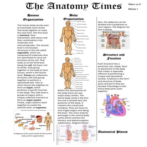 Newspaper anatomy revised