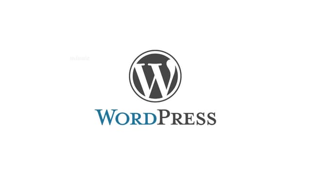 Newspapers with WordPress