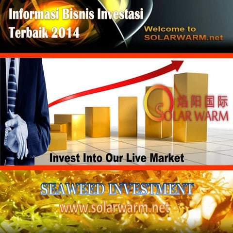Solarwarm Holdings Company - Indonesia  
