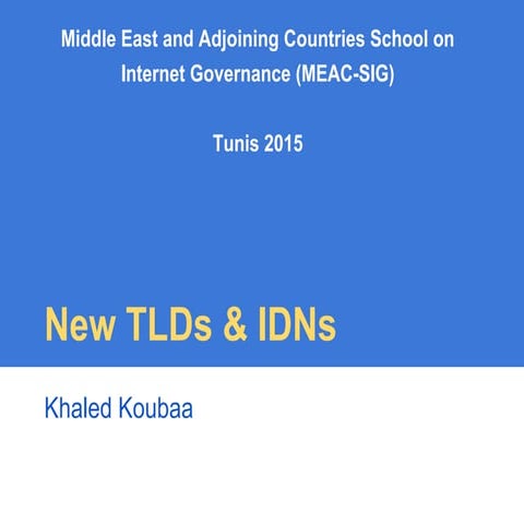 NewTLDs and IDNs