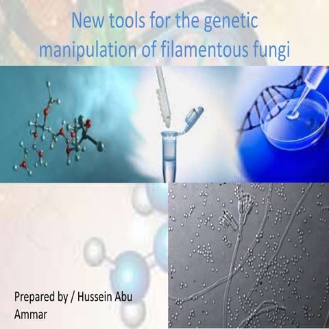 New tools for the genetic manipulation of filamentous