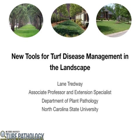 New Tools for Turf Disease Management in the Landscape