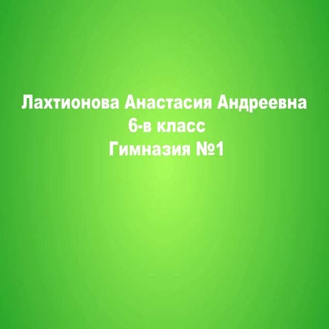 New year lakhtionova_na