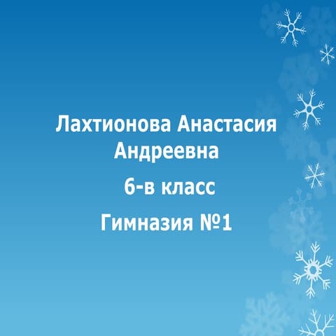 New year lakhtionova_na