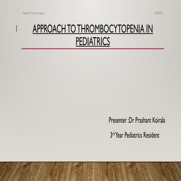 newyork.pptxchicachinachinaindianepalnepal