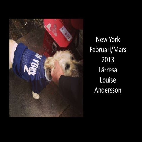 Lärresa NYC 2013