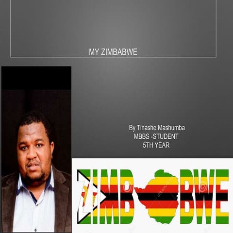 N ew zimbabwe 