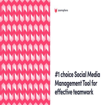 ZoomSphere - An All-in-One Social Media Management Tool | PDF