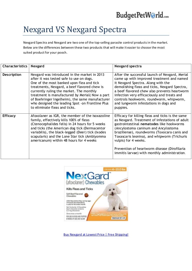 nexgard spectra budget pet products