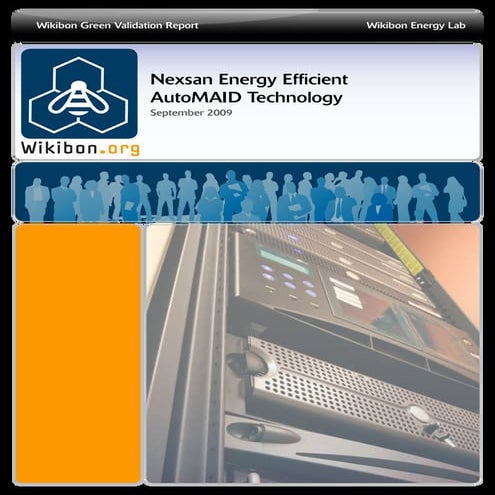 Nexsan Auto Maid Marketing Report